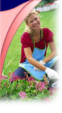 web site design